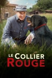 Le Collier Rouge bedava film izle